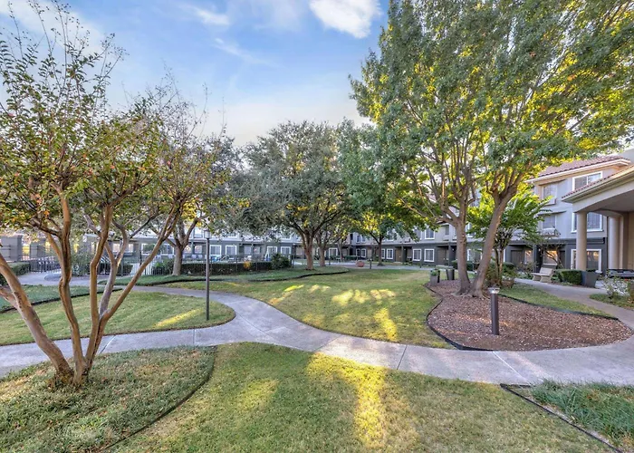 La Quinta By Wyndham Dallas Dfw Airport North Irving